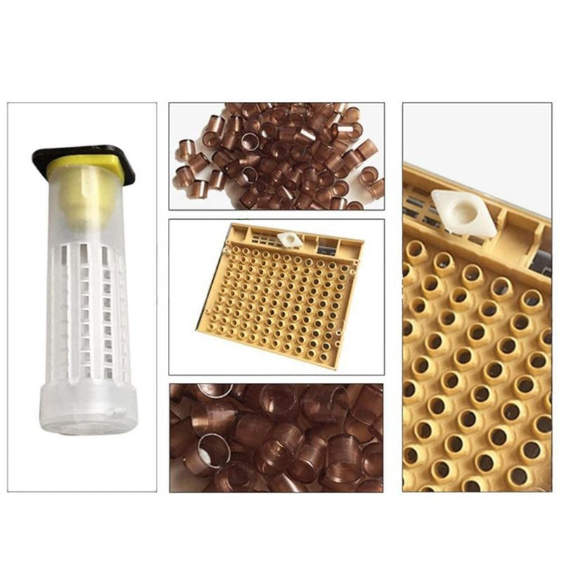 120pcs Bee Cell Cups Queen Rearing System Beekeeping Tool Cultivating Box Newly