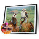 5D DIY Diamond Painting Bird Animal Full Round Drill Mosaic Art Home Pictur