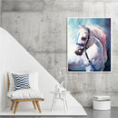 Fine Horse Oil Paint By Numbers Kit DIY Acrylic Painting on Canvas Frameless