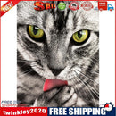 Scary Cat 5D Round Diamond Painting Cross Stitch Mosaic Rhinestone Crafts