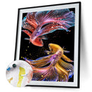 Fish 40x50cm Oil Paint By Numbers Picture DIY Painting