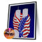 Diamond Painting Independence Day Partial Special Shape Drill DIY (HB252) Newly