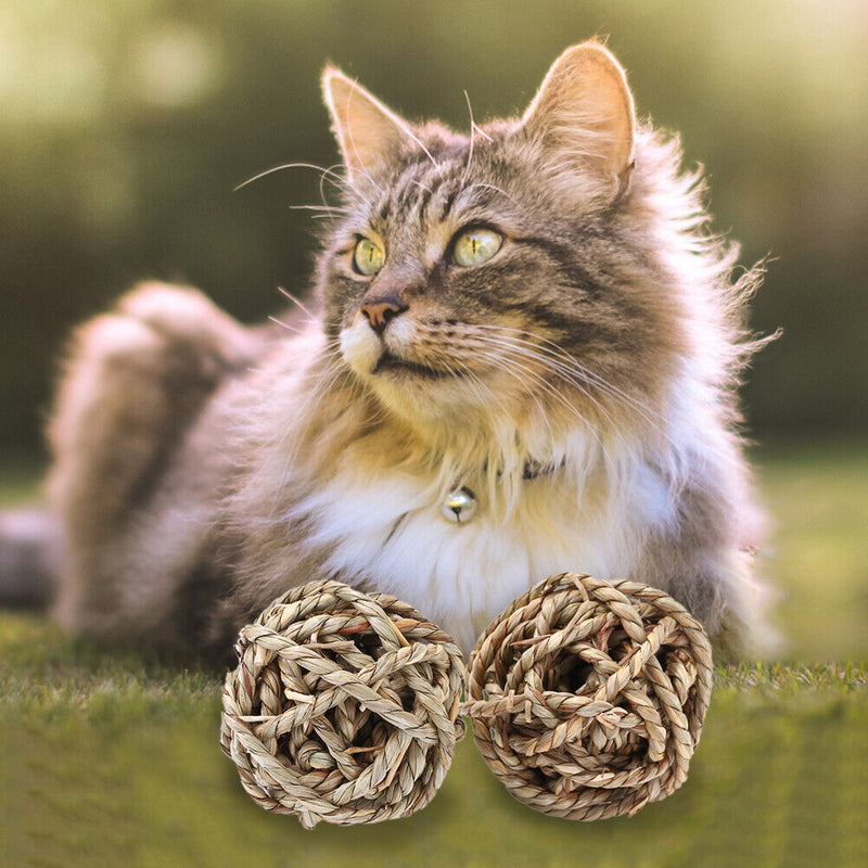 Small Animal Play Chew Bite Grass Ball Pet Toys for Rabbit Hamster Guinea Pigs