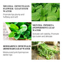 Lip Serum Moisturizing Lip Crack Beauty Care Sexy Plump Essence for Women Girls