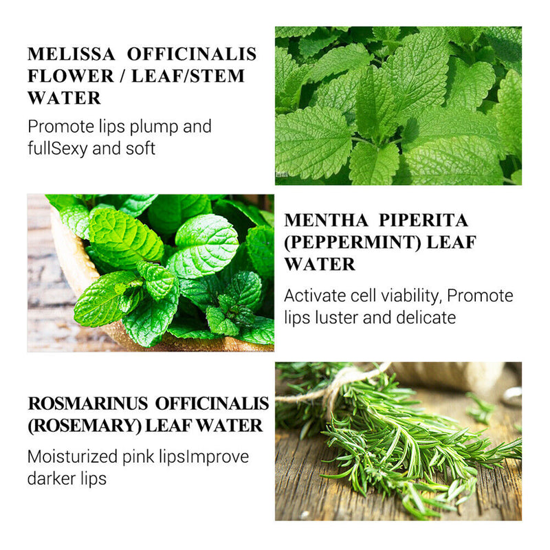 Lip Serum Moisturizing Lip Crack Beauty Care Sexy Plump Essence for Women Girls