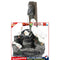 Garden Statue - Animal Sculptures Duck Outdoor Decoration Light (Battery) Newly