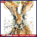 Painting By Numbers Kit DIY Rabbit Hand Painted Canvas Oil Art Picture Craf