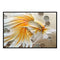 Full Cross Stitch Cotton Goldfish 11CT DIY Art Stamped DIY Craft Artwork Kits
