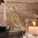 Crazy Bone Skeleton Raven Plastic Animal Skeleton Bones Horror Halloween Decor`