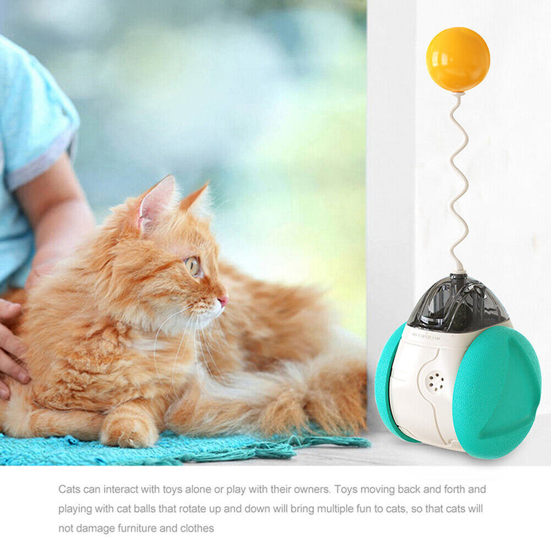Cat Interactive Toys Swing Balance Body Colorful Sound Catnip Teaser Cat Pr