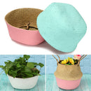 Decor Handmade Folding Belly Basket Seagrass Woven Flower Basket Plant Pot Bag