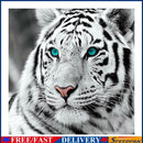Tiger Head 5D DIY Full Drill Round Diamond Painting Embroidery Cross Stitch