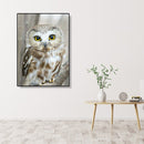 5D DIY Diamond Painting Full Drill Mosaic Kits Owl Cross Stitch Embroidery Decor