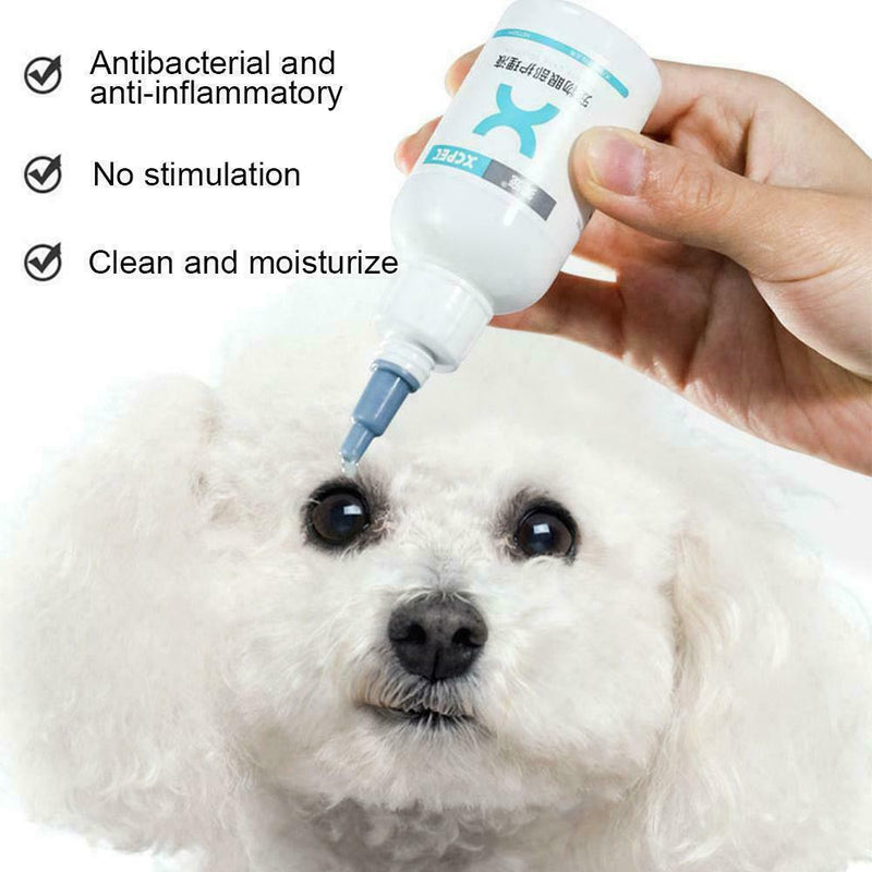 Pet Eye Drops For Conjunctivitis Caused By Allergies Or Foreign Bodies O9H1