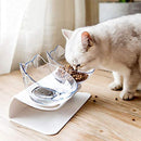 Double Cat Bowls, Raised Pet Tilted Stand Food Water Feeder Bowls for Kitten Cat