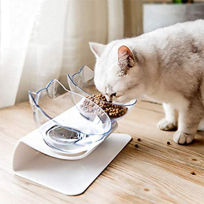 Double Cat Bowls, Raised Pet Tilted Stand Food Water Feeder Bowls for Kitten Cat