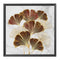 Ginkgo Leaf Stamped Cross Stitch Kits 11CT Printed Embroidery DIY Handmade Cr