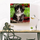 5D DIY Full Drill Diamond Painting Lovely Cat Cross Stitch Needlework Set Decor