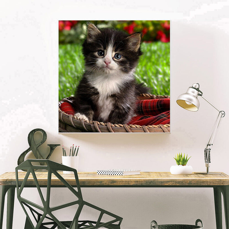 5D DIY Full Drill Diamond Painting Lovely Cat Cross Stitch Needlework Set Decor