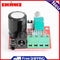YouN PAM8610 Mini Hi-Fi Audio Stereo Amplifier Board 2x10W D Class Modules