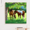 Handmade Full Square Drill 5D Horse on Prairie Drawing Kit DIY Diamond Painting