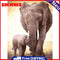 Home Elephant Oil Canvas Pictures DIY Hand Painted Paint By Numbers Kit Craft