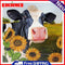 Flower Cow Canvas Painted Oil Paint By Numbers Wall Art Modern Bedroom Decor
