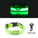 LED Dog Luminous Necklace Outdoor Walking Pet Night Safety Collar (Green M)