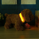 2.5cm LED Night Flashing Dog Pet Necklace Nylon Collar Leash(Yellow/S)