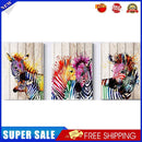 3 Panels Color Zebra Oil Paint By Number DIY Canvas Animal Picture Wall Art
