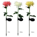 4pcs LED Solar Light Chrysanthemum Lawn Stake Lamps Garden Decor