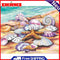 Sea Shells Oil Paint By Numbers Kits DIY Handpainted on Canvas Wall Unframed