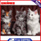 DIY Digital Painting By Numbers Cat Canvas Picture Wall Art Home Decor 40x50cm
