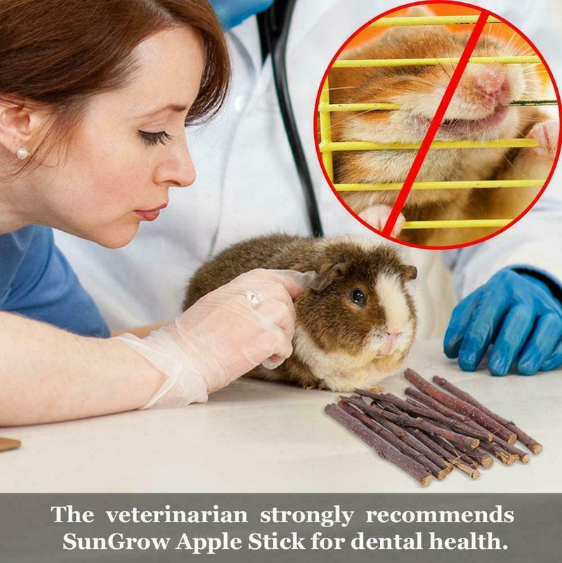 50g Wood Chew Sticks Twigs for Small Pets Rabbits Hamster Guinea Pig Best hot.