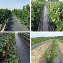 Greenhouse Weed Control Mat Gardening Anti Grass Plant Cover Cloth (1x10m) Newly