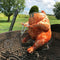 Chicken Stand Beer Motorcycle Stainless Steel Oven Grill Chicken Roasting R