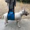 #A Dog Support Harness for Front Rear Legs Lifting Rehabilitation Pet Carrying A