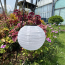 LED Solar Lantern Waterproof Outdoors Garden Yard Landscape Decor (White) Newly