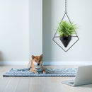 Hanging Flower Pot Hanger Chain Iron Planter Basket Holder Home Decor (A) Newly