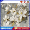 #A Flower Oil Paint By Numbers Kits Canvas Picture Wall Art DIY Craft Coloring