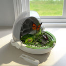 Science Can Bug Catcher Kit for Kids, Critter Cage Butterfly Bug House Insect