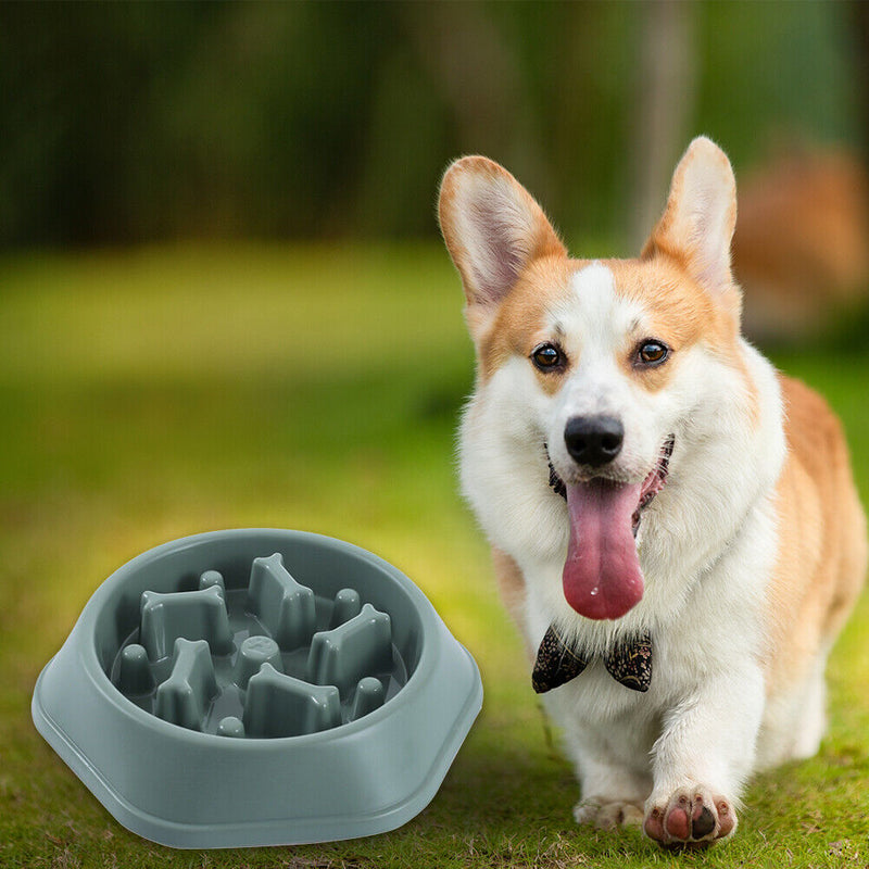 Pet Dog Feeding Food Bowls Plastic Slow Eating Feeder Dish Bowl Prevent Obe