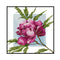 Partial Cross Stitch 14CT Cotton Thread DIY Kapok Printed Embroidery Kits
