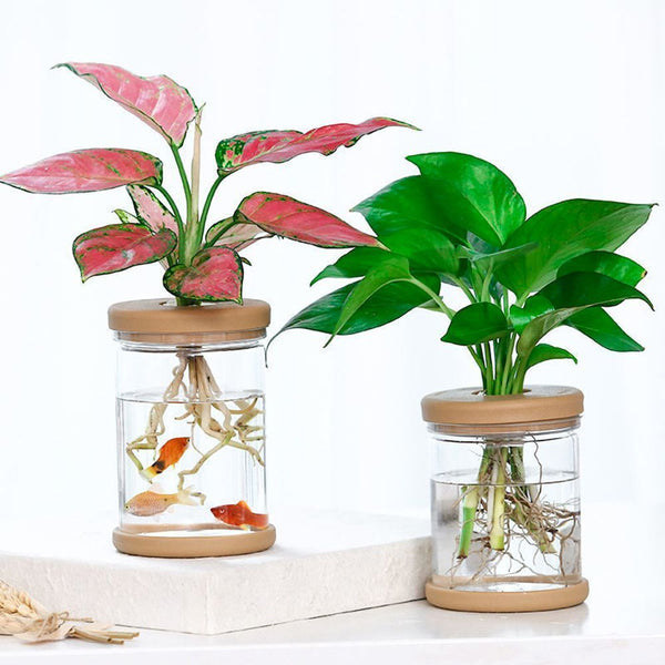 Decoration Hydroponic Vase Plant Flower Pot Flower Arrangement Plastic Vase