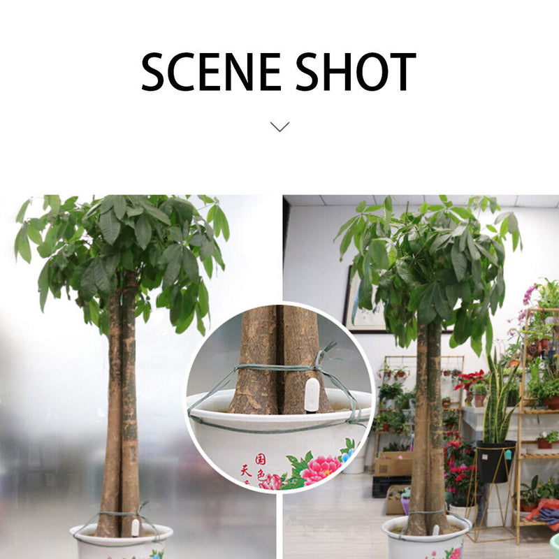 Garden Plant Soil Electronic Hygrometer Moisture Meter Tester Analyzer Tool