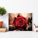 5D DIY Diamond Painting Red Rose Full Round Drill Mosaic Art Picture Rhinestone