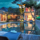 Solar LED Owl Bird Lights Garden Balcony Path Yard Patio Decoration Lights
