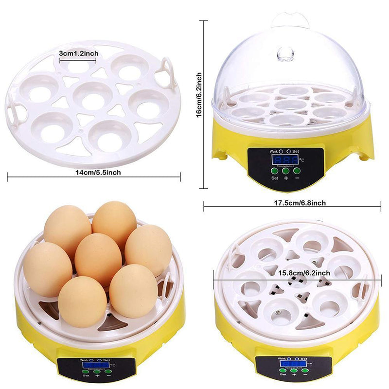7 Egg Incubator Poultry Incubator Brooder Digital Temperature Control (US) Newly