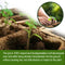 Seed Starter Tray Kit Biodegradable Gardening Germination Pulp Pots - 12 Cells