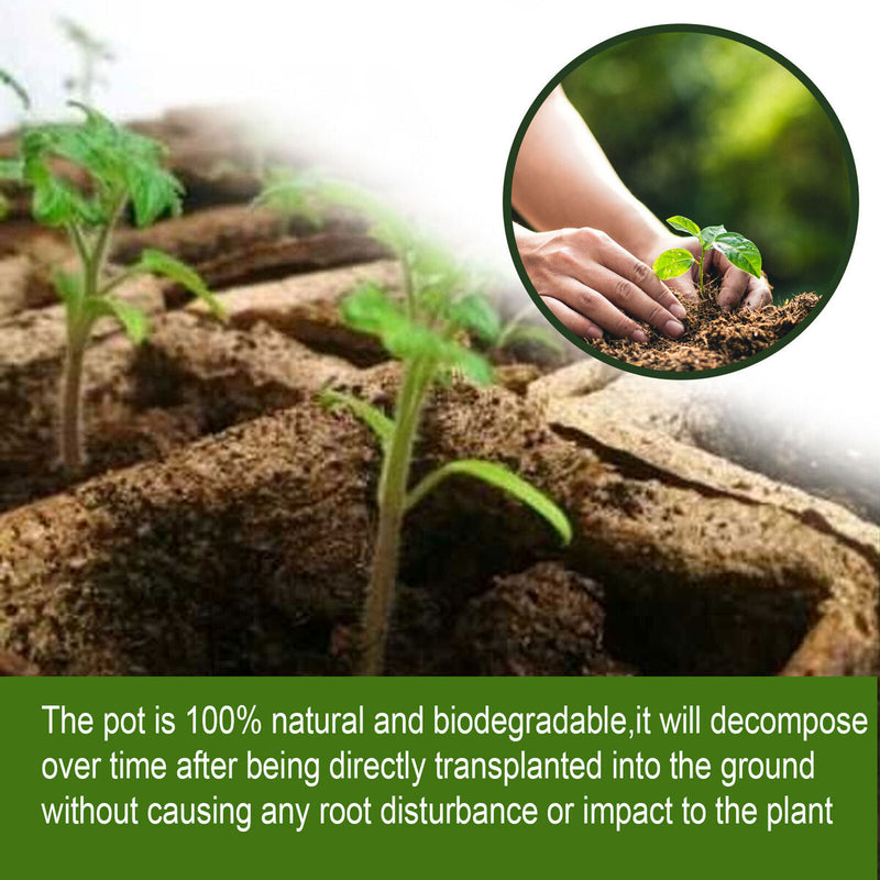 Seed Starter Tray Kit Biodegradable Gardening Germination Pulp Pots - 12 Cells